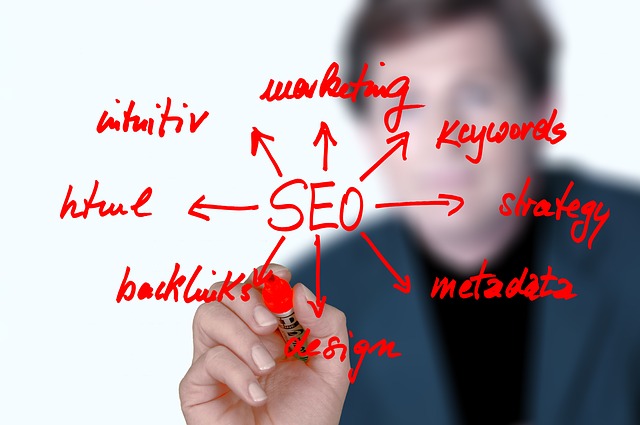 seo programátor